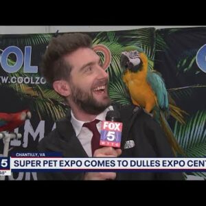Making new friends at the Super Pet Expo in Northern Virginia | FOX 5 DC