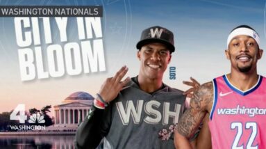 Nats, Wizards Reveal Cherry Blossom-Themed Uniforms | NBC4 Washington
