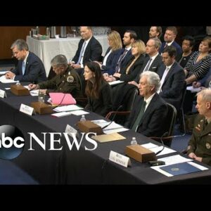 US intelligence chiefs testify before Senate on worldwide threats | ABCNL