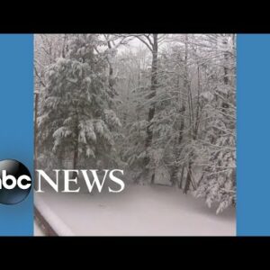 Snow weighs down branches in New York
