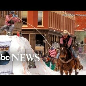 What is skijoring?