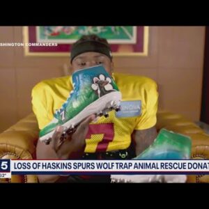 Dwayne Haskins' fans donate over $11,000 to animal rescue charity he supported | FOX 5 DC