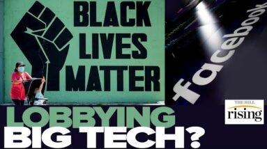 BLM Lobbied Big Tech To CENSOR Stories About Group's Shady Finances: Report