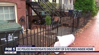 5 fetuses found in DC home: anti-abortion group claims to have held funeral, naming ceremony