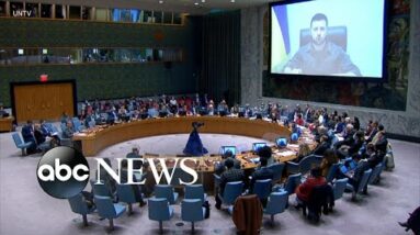 Criticism resurfaces after UN Security Council’s inaction on Ukraine