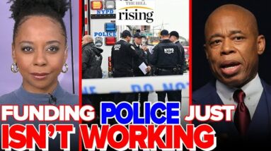 Funding The Police ISN'T WORKING To Stop Violent Crime: Briahna Joy Gray