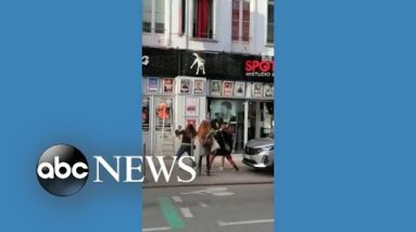 Pedestrians break dog's fall from building