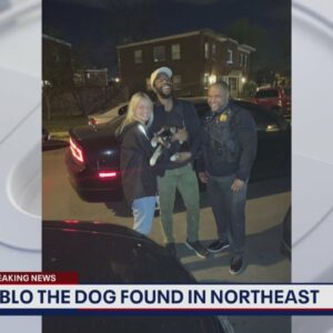 Police rescue 1 of the dogs stolen at gunpoint in DC | FOX 5 DC
