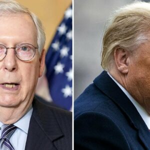 An ‘Exhilarated’ McConnell Said Trump ‘Totally Discredited Himself’ With Jan. 6: Book