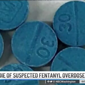 Two Virginia Teens Die of Suspected Fentanyl Overdoses | NBC4 Washington