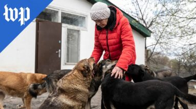 Ukrainian woman saves hundreds of animals during Russian invasion