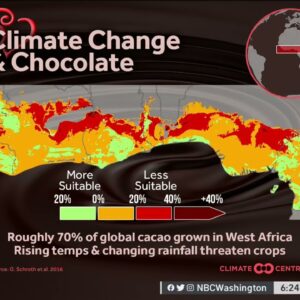 How Climate Change Threatens 4 Favorite Foods and Drinks | NBC4 Washington