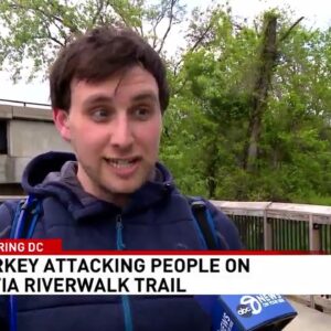 'He almost clawed my face!' Victims describe turkey attacks on DC's Anacostia Riverwalk