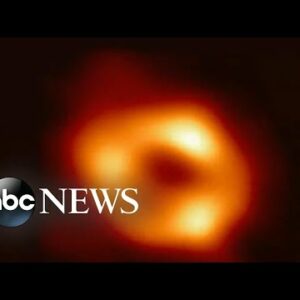 Black hole images revealed