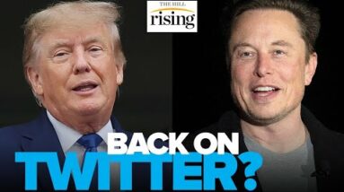 Elon Musk Confirms He Would REVERSE Trump's Twitter Ban
