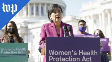 Pressure mounts on Senate to pass abortion access bill: 'We will try all that we can'