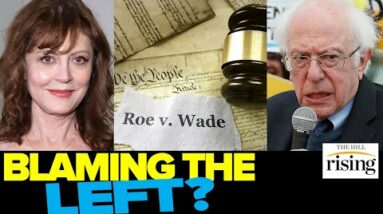 Resistance Democrats Blame Susan Sarandon, Bernie Sanders For Roe V. Wade's Potential Demise