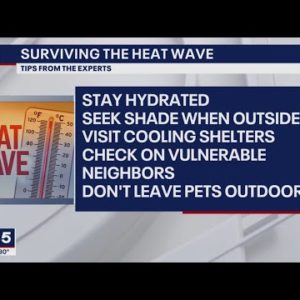 DC Heat Wave: Tips for staying safe in the heat | FOX 5 DC