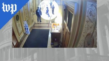 Security footage shows Josh Hawley fleeing from Jan. 6 mob