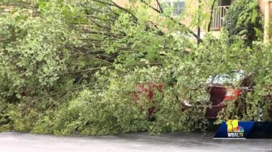 Severe storms leave more damage in parts of Maryland