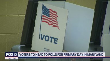 Voters head to the polls for Maryland's 2022 Primary Election | FOX 5 DC