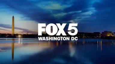 4 injured after car crashes into Arlington bar |  FOX 5 DC