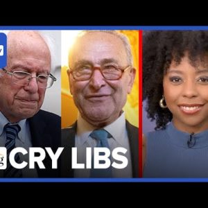 Briahna Joy Gray: Libs ATTACK Bernie For Exposing Inflation Bill’s Corporate Giveaways, I’m Mad Too