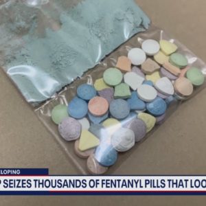 Border patrol works to keep 'rainbow fentanyl' out of the US