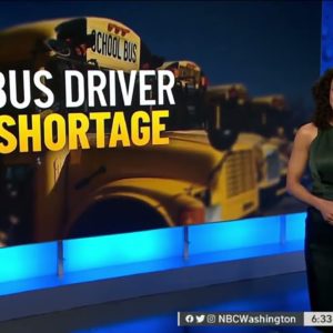 How DC-Area School Districts Are Addressing the Bus Driver Shortage | NBC4 Washington