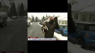 Adorable puppy crashes reporter's weather report on live TV! | FOX 5 DC #throwback