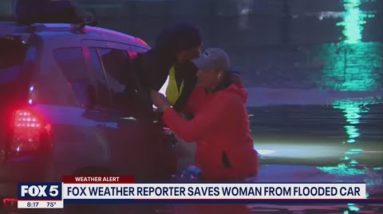 Fox Weather reporter saves woman from flooded car | FOX 5 DC