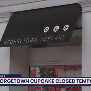 Georgetown Cupcake shut down by DC Health Department | FOX 5 DC