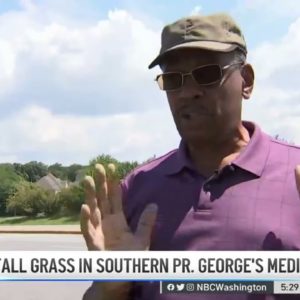 Anger Over Tall Grass on Southern Prince George's Medians | NBC4 Washington
