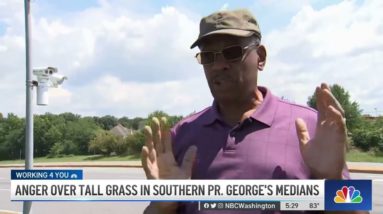 Anger Over Tall Grass on Southern Prince George's Medians | NBC4 Washington