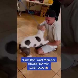 ‘Hamilton’ Cast Member Reunites With Lost Dog in DC