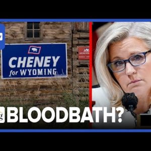 Liz Cheney Faces Likely BLOODBATH In Tuesday's Primary. MSNBC Next?: Briahna Joy Gray & Ryan Grim