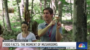 Mushrooms Are Having a Moment. How Healthy Are They? | NBC4 Washington