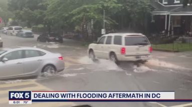 Storm cleanup continues across DC region following heavy storms | FOX 5 DC