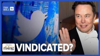 Elon VINDICATED? WHISTLEBLOWER Says Twitter Buried ‘Egregious Deficiencies’ In HACKER, Spam Defense