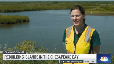 Rebuilding Islands in the Chesapeake Bay | NBC4 Washington