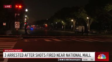 Juvenile, 2 Adults in Custody After Shots Fired on National Mall: Police | NBC4 Washington