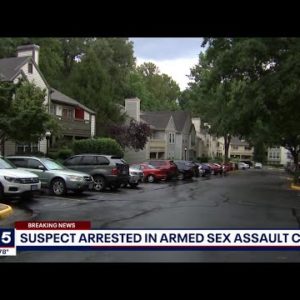 Suspect arrested in armed sex assault case