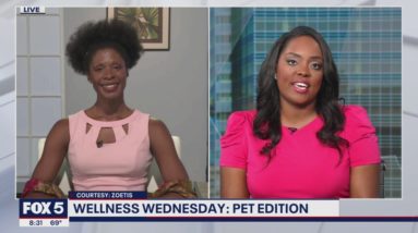 Tips to help your pet deal with common skin problems | FOX 5 DC