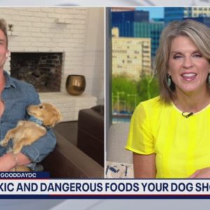 Toxic and dangerous Foods your dog should avoid