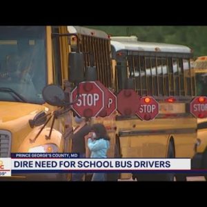 Prince George’s County school bus driver fair aims to fill nearly 200 vacancies | FOX 5 DC