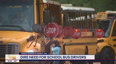 Prince George’s County school bus driver fair aims to fill nearly 200 vacancies | FOX 5 DC
