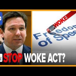 'Stop Woke Act' STRUCK DOWN: Judge BLOCKS DeSantis' Bill Banning CRT In Schools