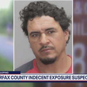 Fairfax Co. indecent exposures suspect also accused of attacking jogger in New York: police
