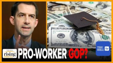 Tom Cotton's BASED bill will tax endowments to pay HS grads $9K to learn ON THE JOB: Ryan & Emily