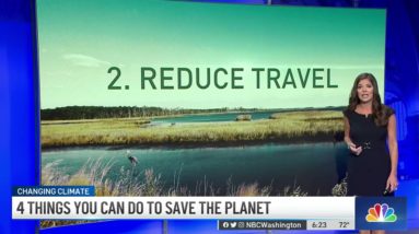 4 Ways to Help the Planet and Save Money | NBC4 Washington